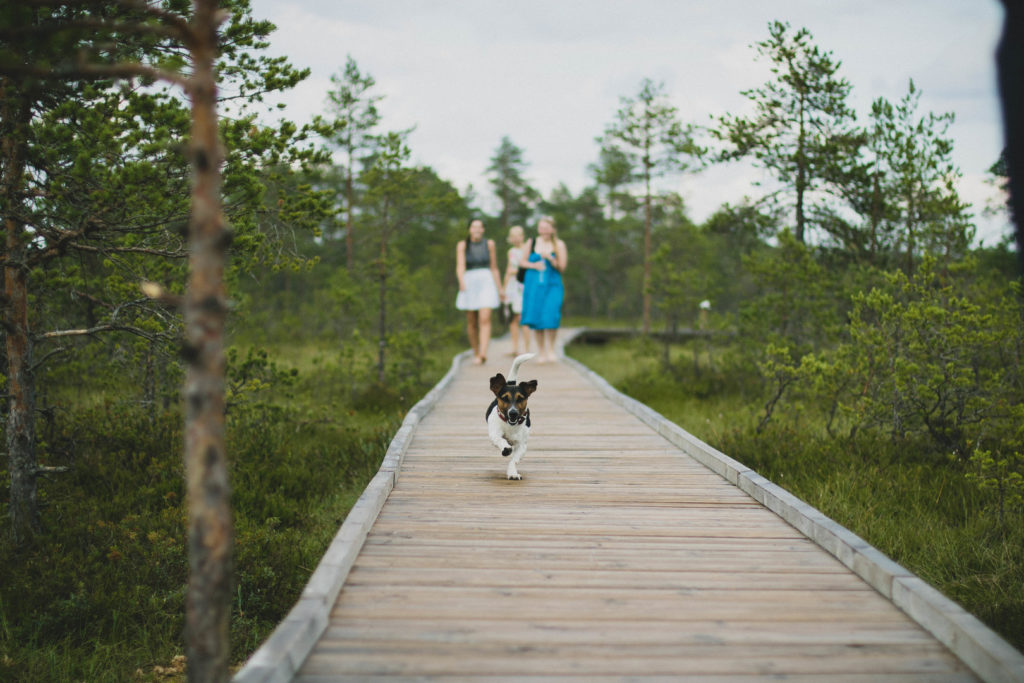 landscape-pathway-grass-blur-people-boardwalk-997038-pxhere.com